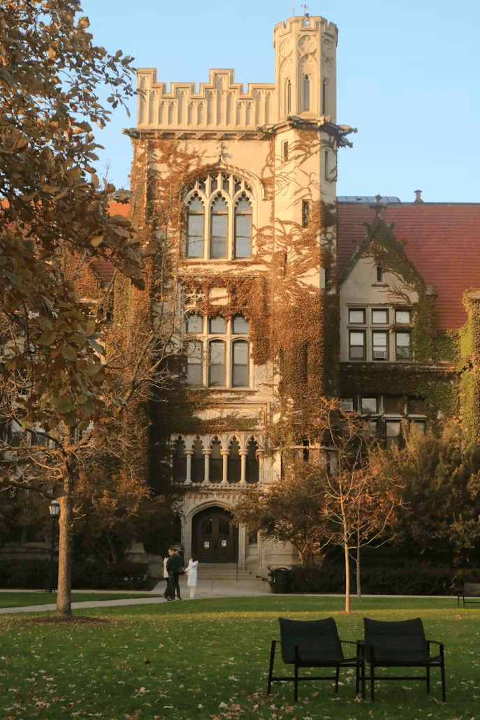 Higher Education